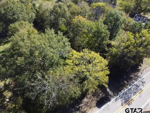 a view of a garden with large trees