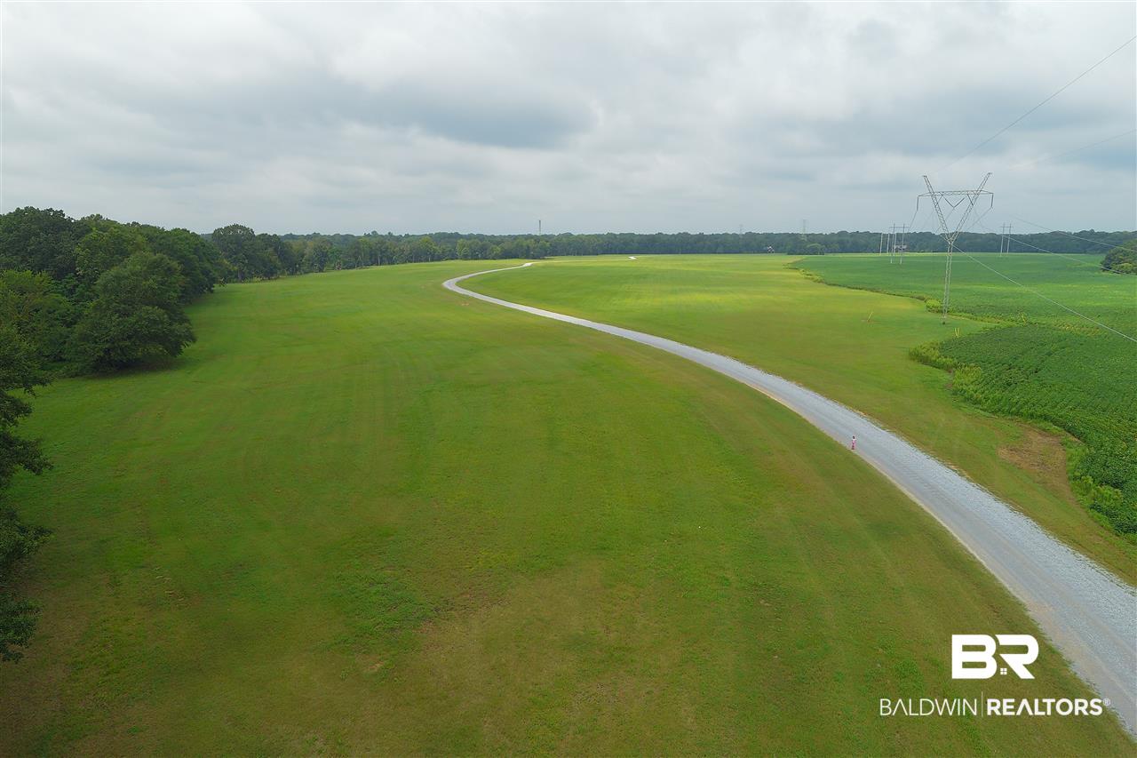 0 Jimmy Phillips Road Greensboro, AL 36744 - Photo 8 of 16