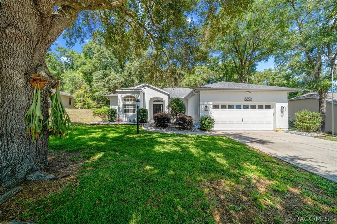 8859 Southwest 196th Avenue Road Dunnellon, FL 34432 - Photo 3 of 54