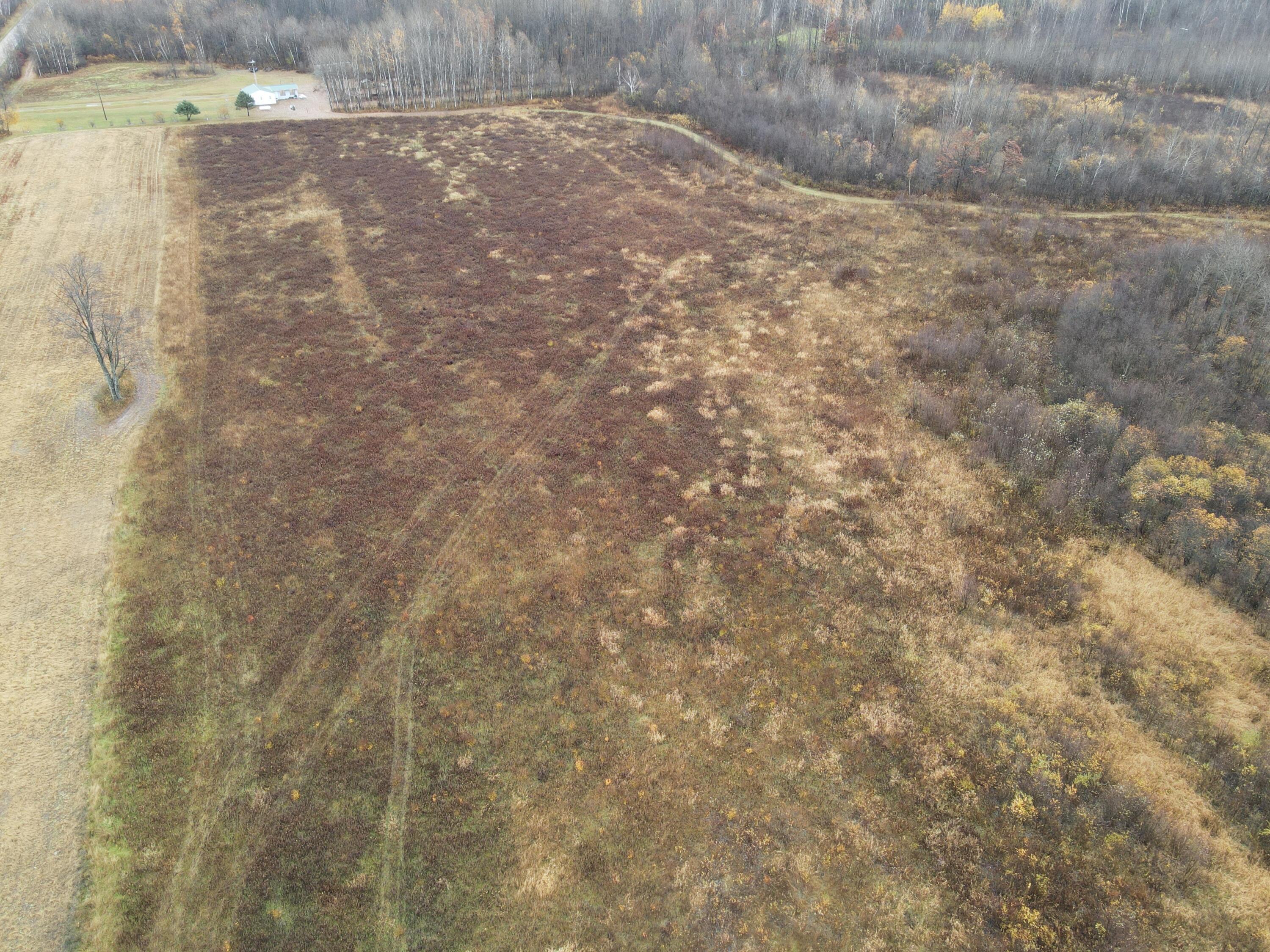 35.43 East Washington Road Clare, MI 48617 - Photo 8 of 26 dji_fly_20221026_115304_363_166679960893