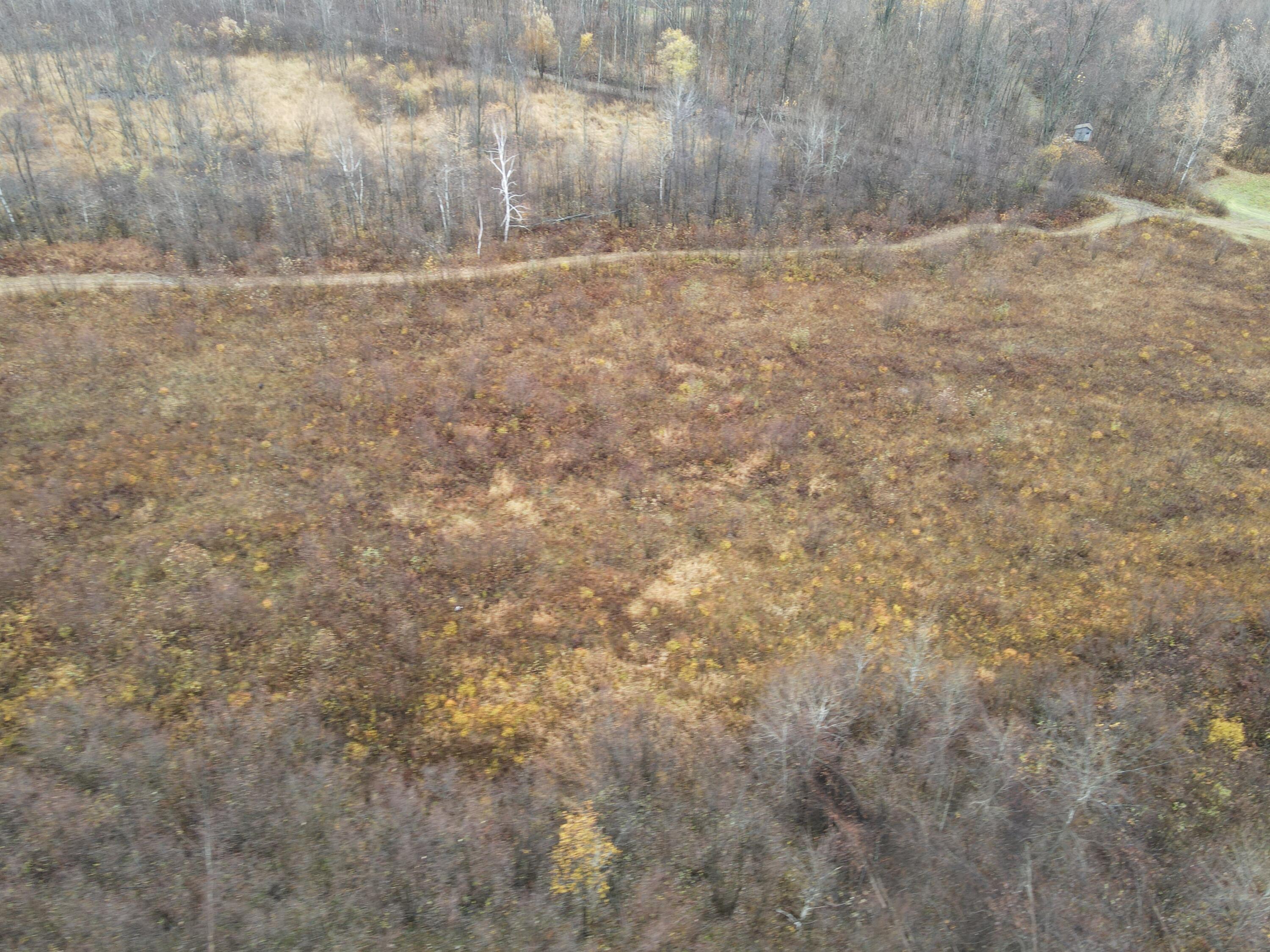 35.43 East Washington Road Clare, MI 48617 - Photo 10 of 26 dji_fly_20221026_115402_368_166679966918