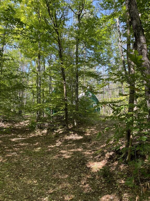 0 Harvey Stream Levant, ME 04456 - Photo 16 of 55 Pic 14 (Copy)