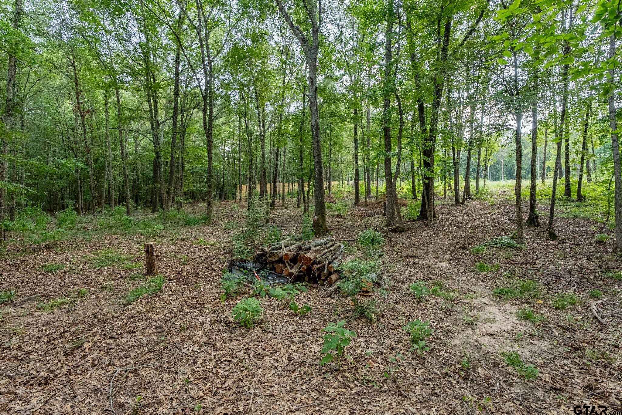 9299 Caddo Rdg Cove Tyler, TX 75703 - Photo 12 of 23