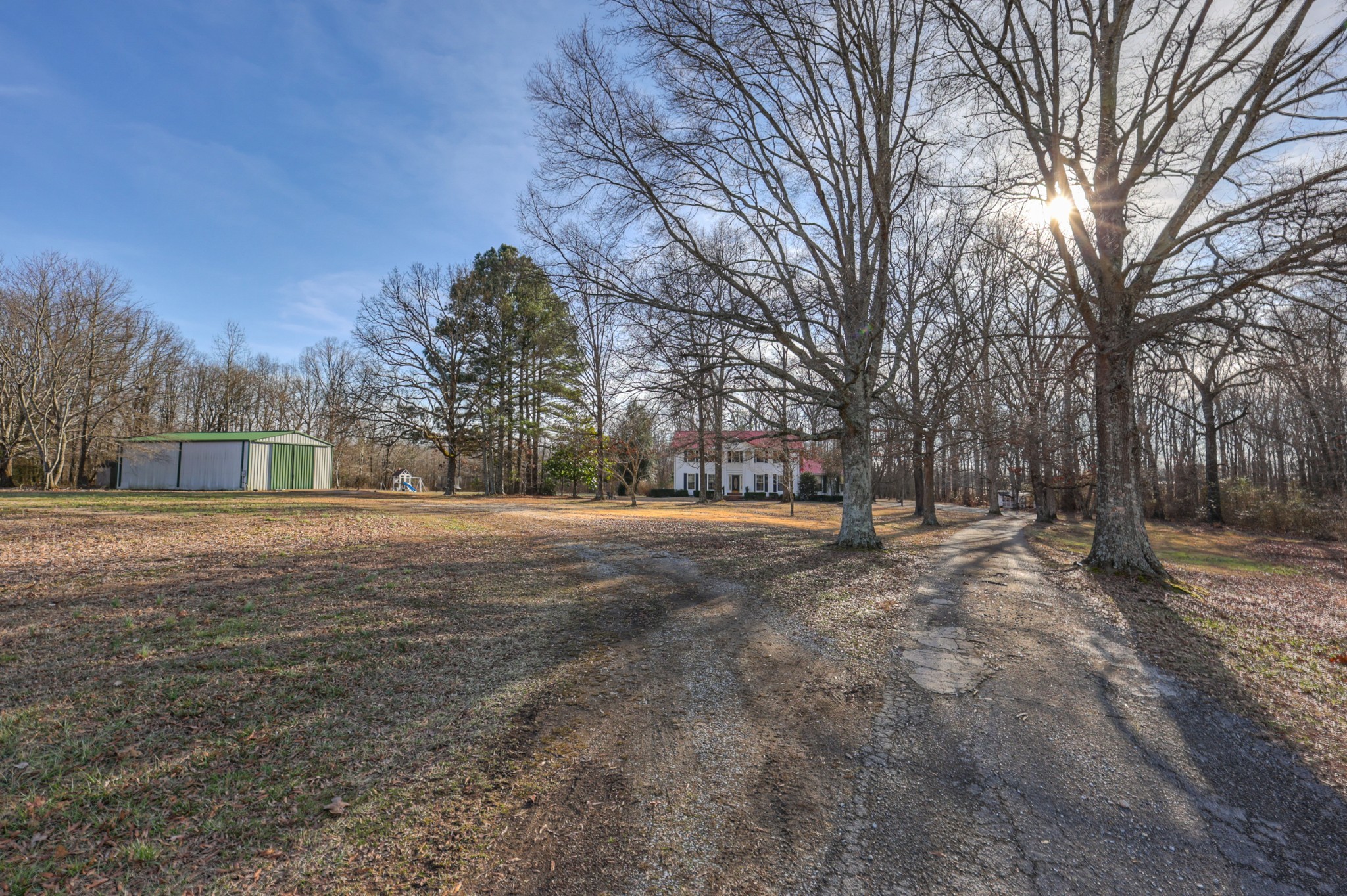 175 Dry Weakley Road Ethridge, TN 38456 - Photo 8 of 52 a view of outdoor space and tree