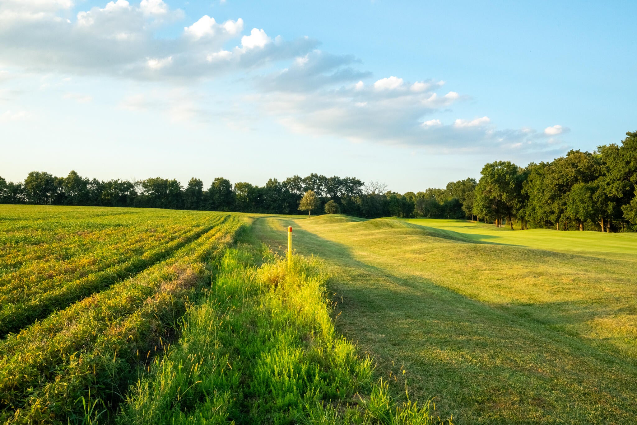 0 State Rd HH New Bloomfield, MO 65063 - Photo 13 of 18 Gallery Image 13