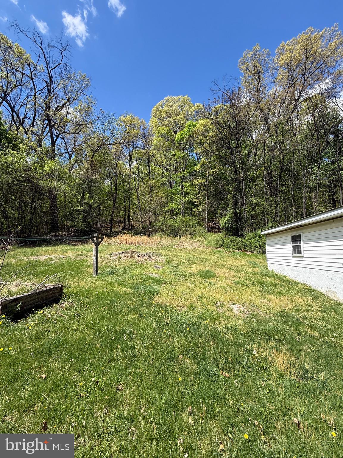 557 Frog Hollow Road Winchester, VA 22603 - Photo 7 of 13