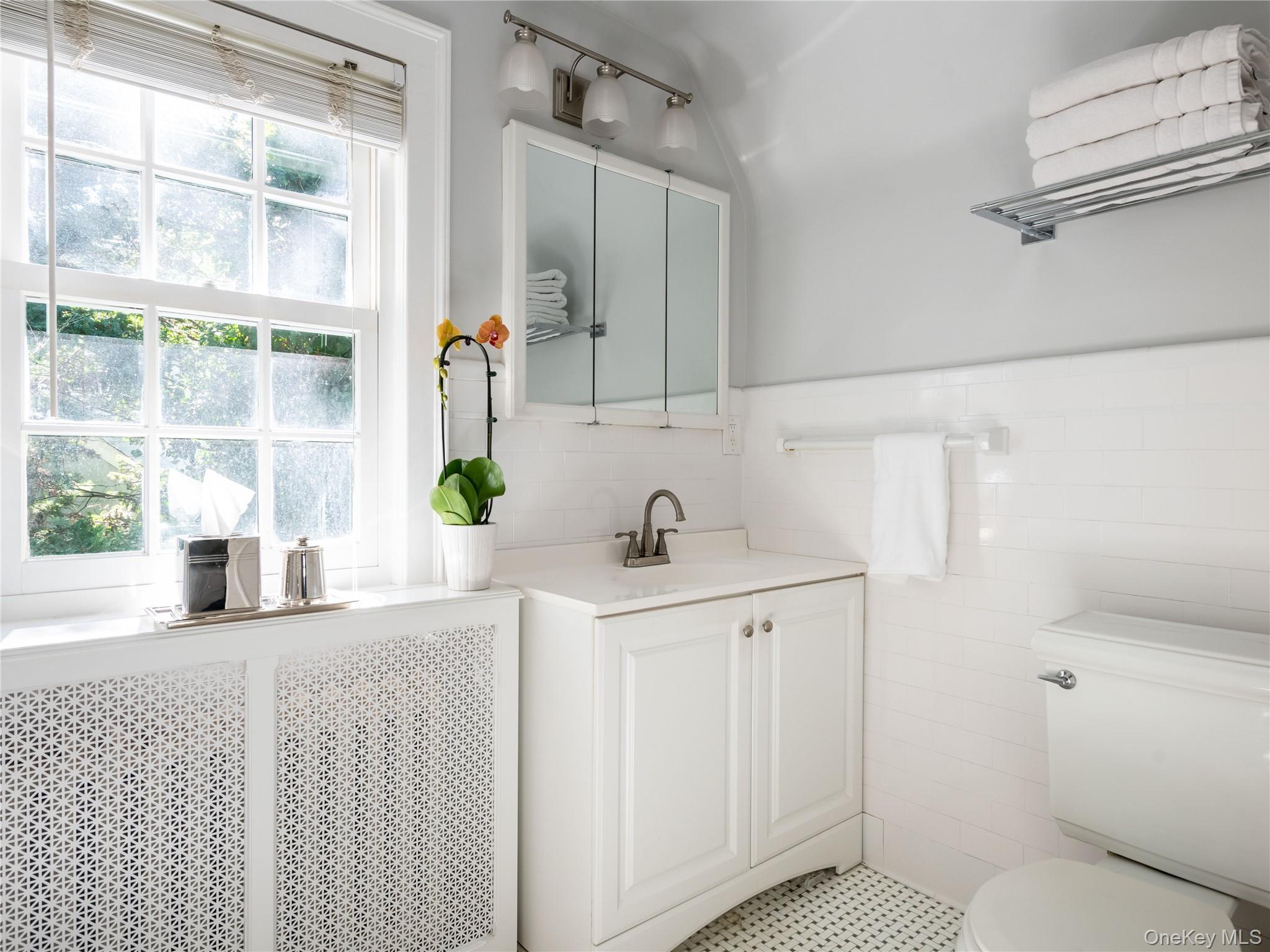 50 Eakins Road Manhasset, NY 11030 - Photo 17 of 24 a bathroom with a sink and a mirror