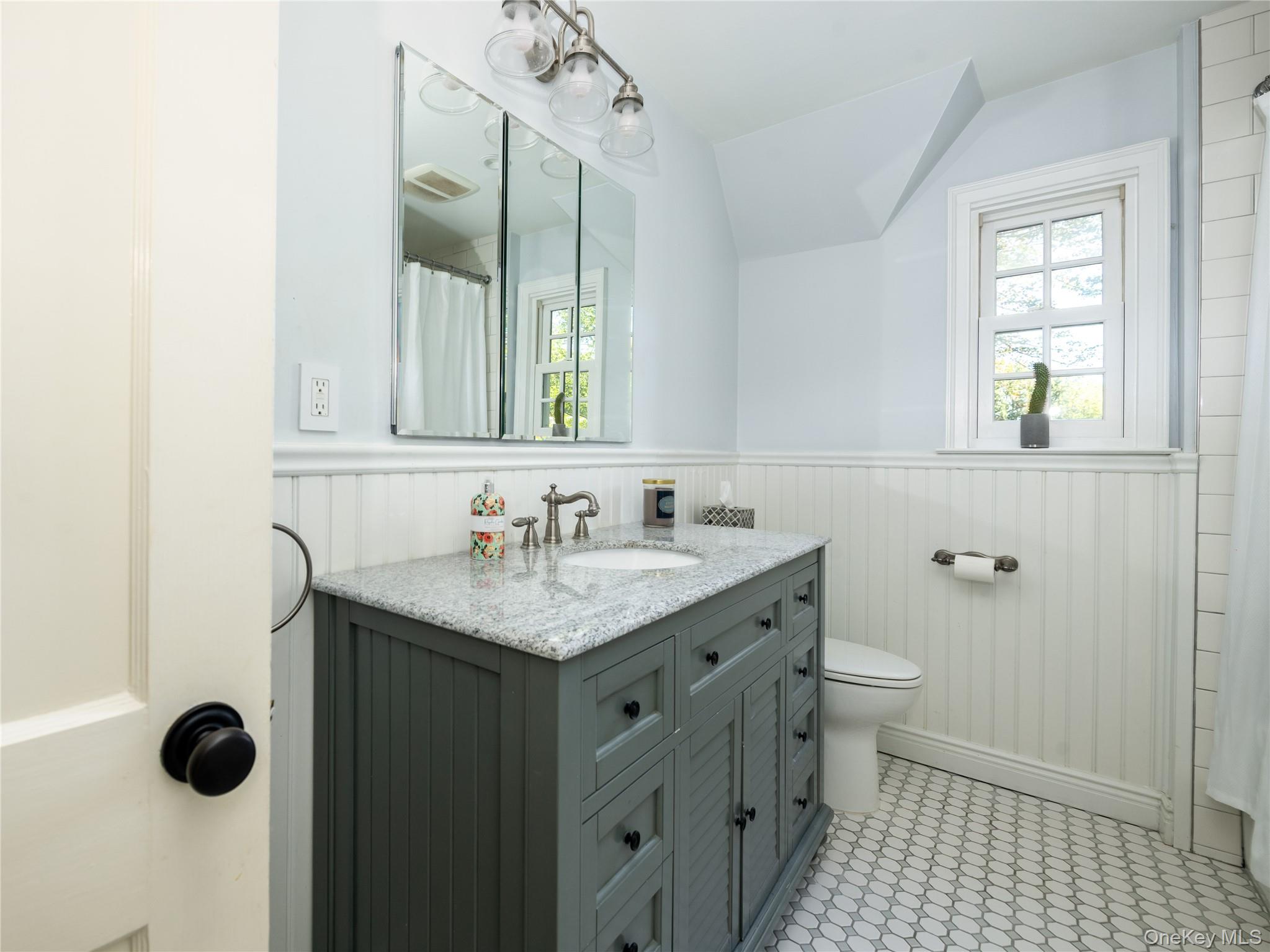 50 Eakins Road Manhasset, NY 11030 - Photo 20 of 24 a bathroom with a granite countertop sink a toilet and a mirror