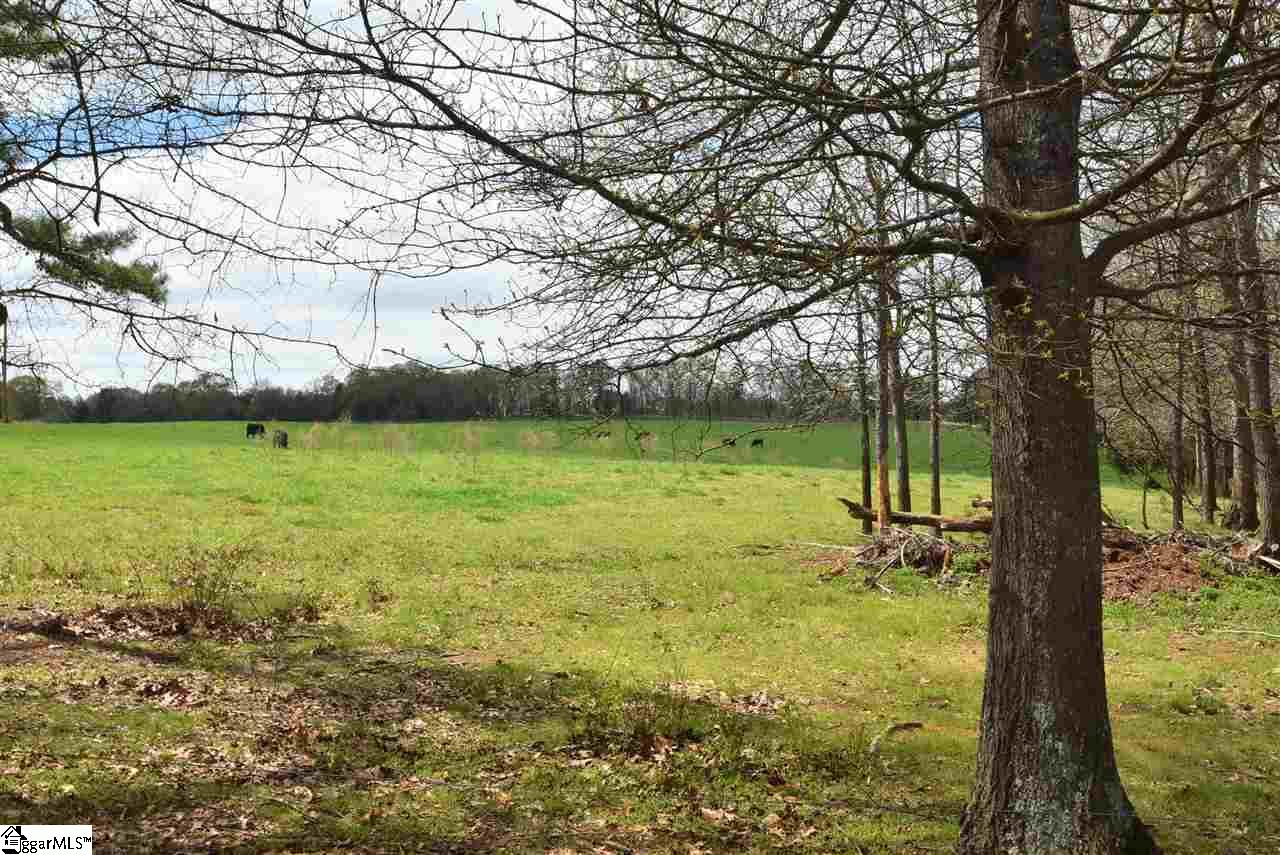 316 Moores Mill Road Pelzer, SC 29669 - Photo 36 of 36