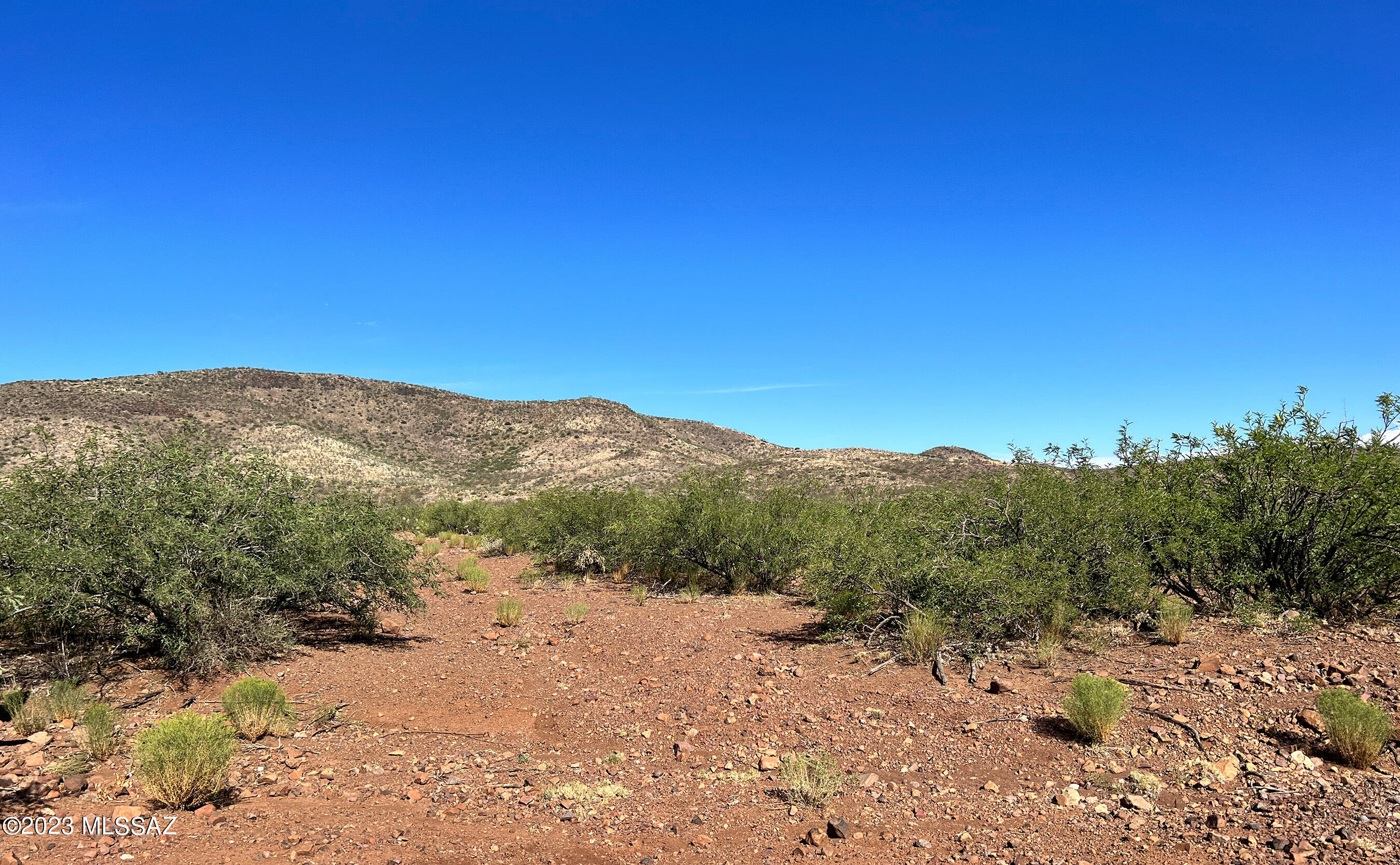 Tbd 80-ac North Pedregosa Road Douglas, AZ 85607 - Photo 21 of 25 Gallery Image 21