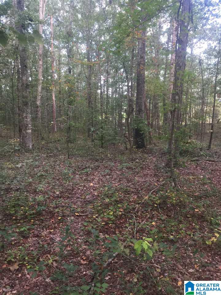 241 Sulphur Springs Road, Unit 9 89 ACRES Lincoln, AL 35096 - Photo 39 of 44