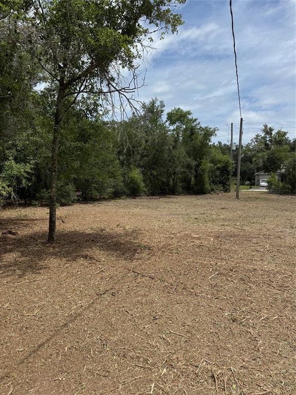 3101 Bruton Road Plant City, FL 33565 - Photo 3 of 13