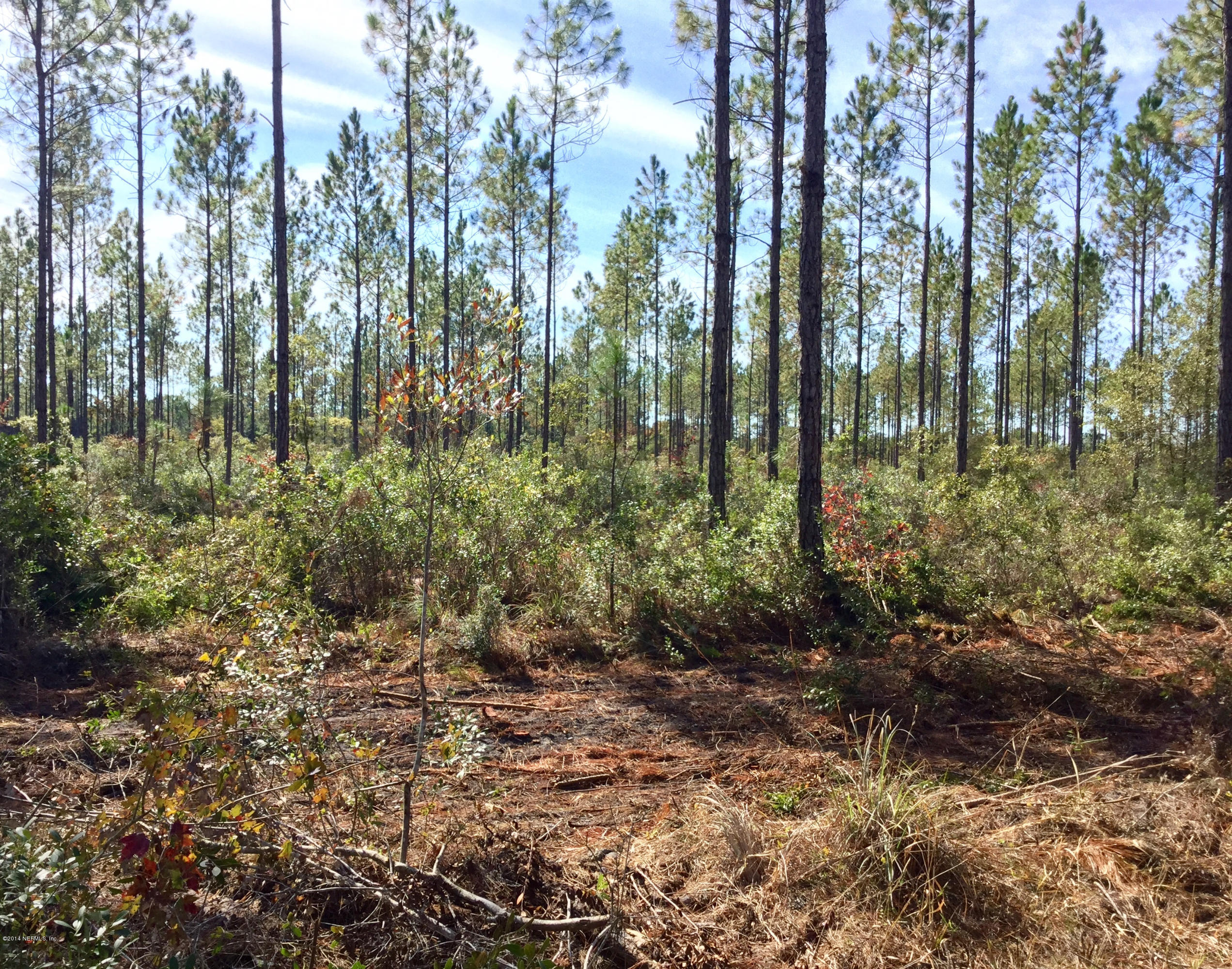 0 McClelland Road Jacksonville, FL 32234 - Photo 1 of 4 FullSizeRender (2)