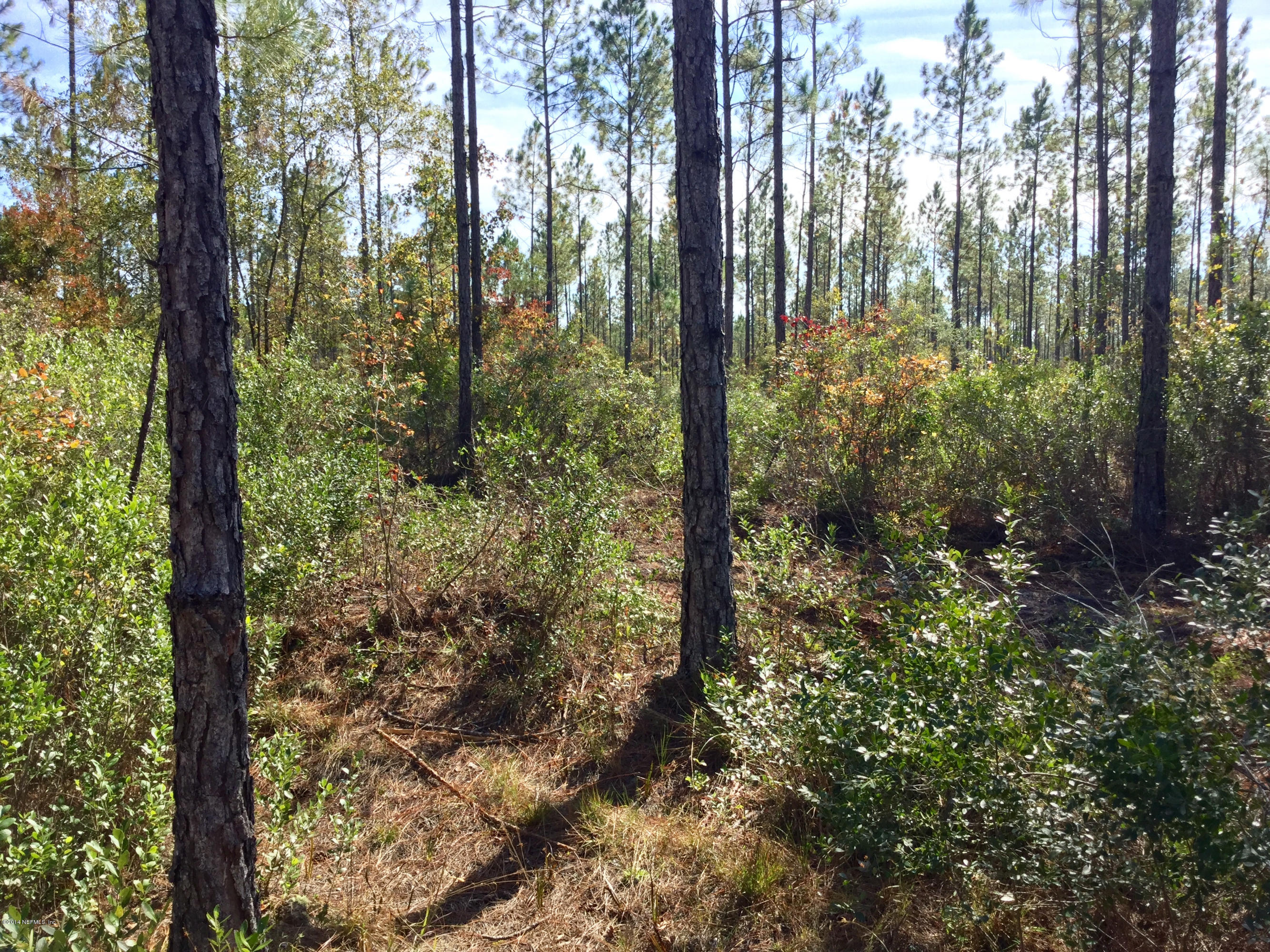 0 McClelland Road Jacksonville, FL 32234 - Photo 2 of 4 FullSizeRender_1 (2)