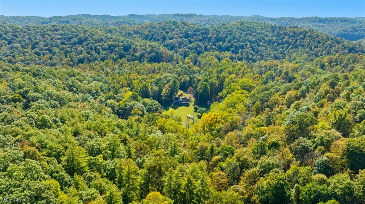 2008 Goose Creek Road Petroleum, WV 26161 - Photo 4 of 35 View of aerial view