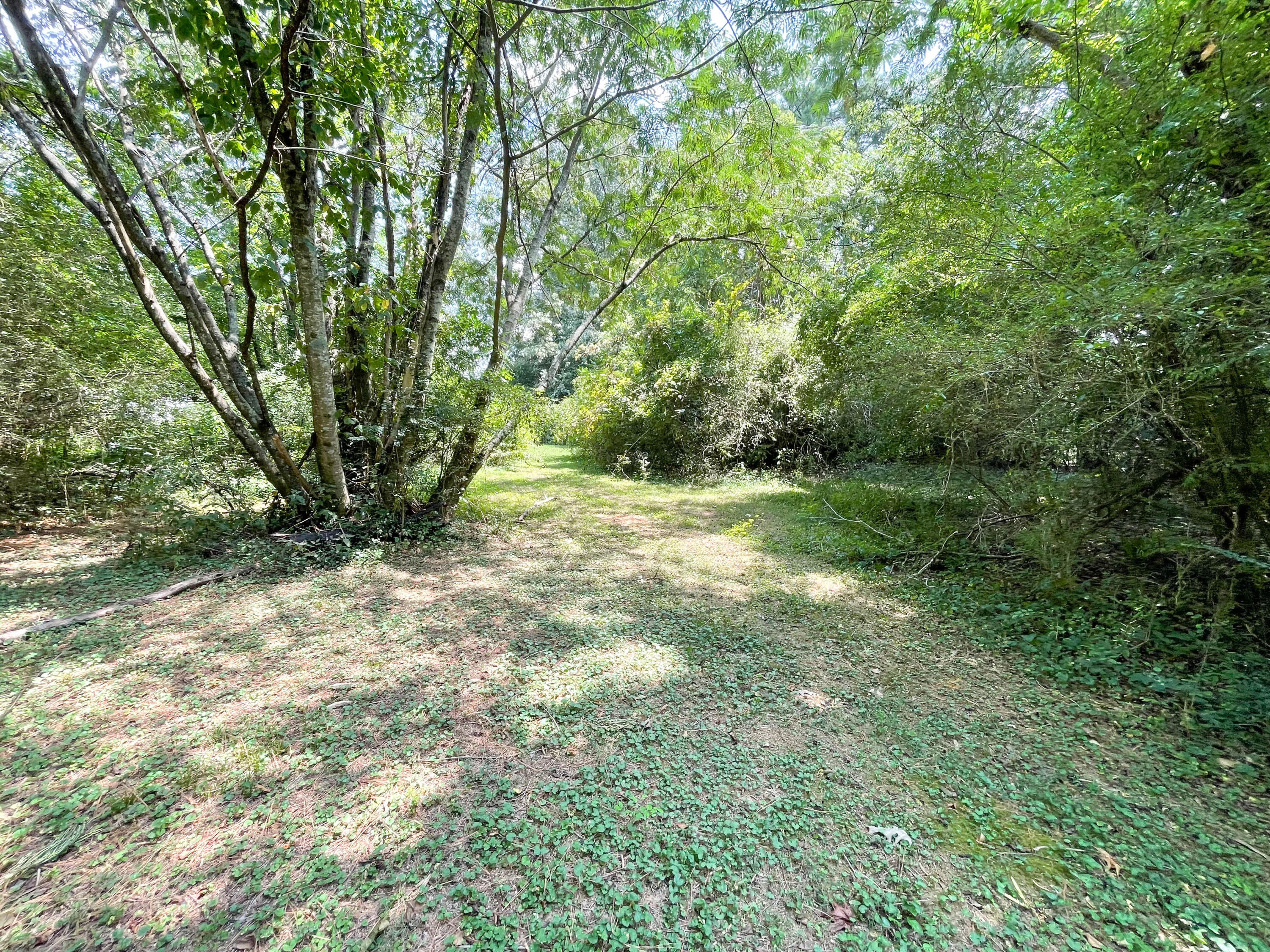 288 John Thompson Road Flintstone, GA 30725 - Photo 43 of 45 Photo Aug 22 2024, 2 07 58 PM