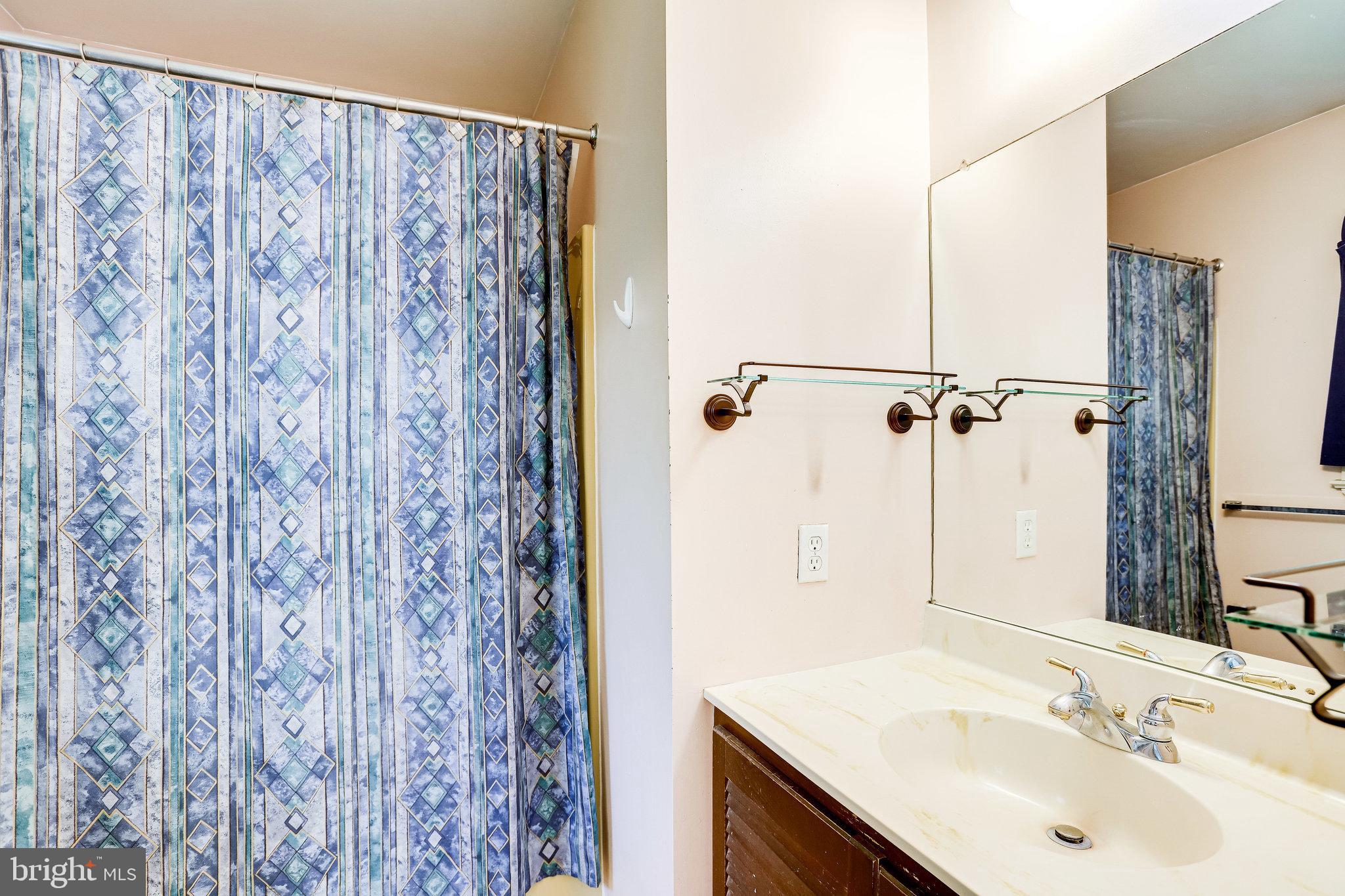4518 Logmill Road Gainesville, VA 20155 - Photo 23 of 59 Primary Bath