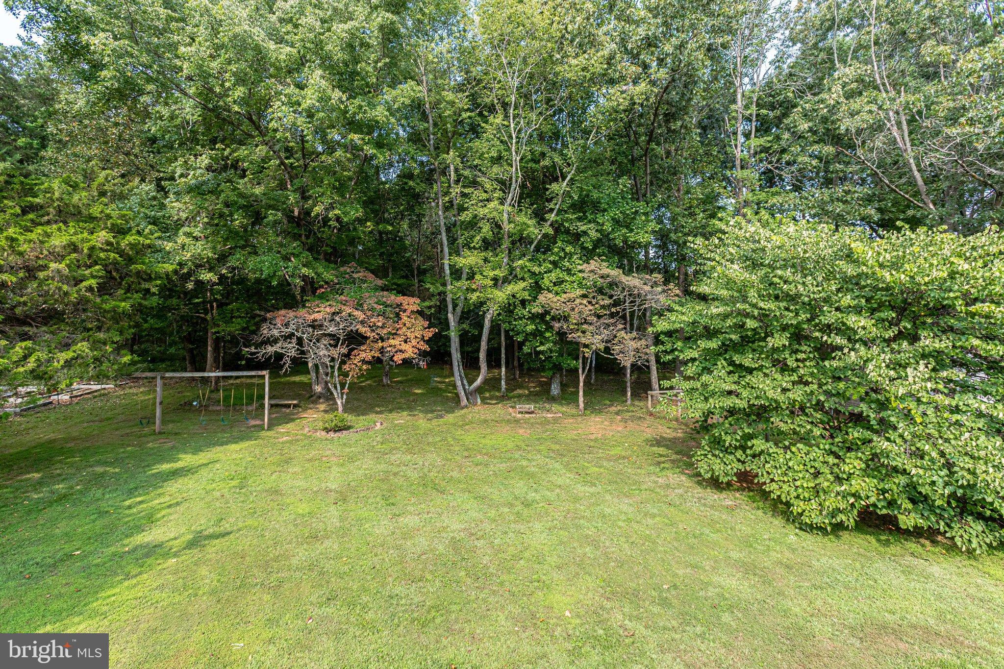 Rear Yard