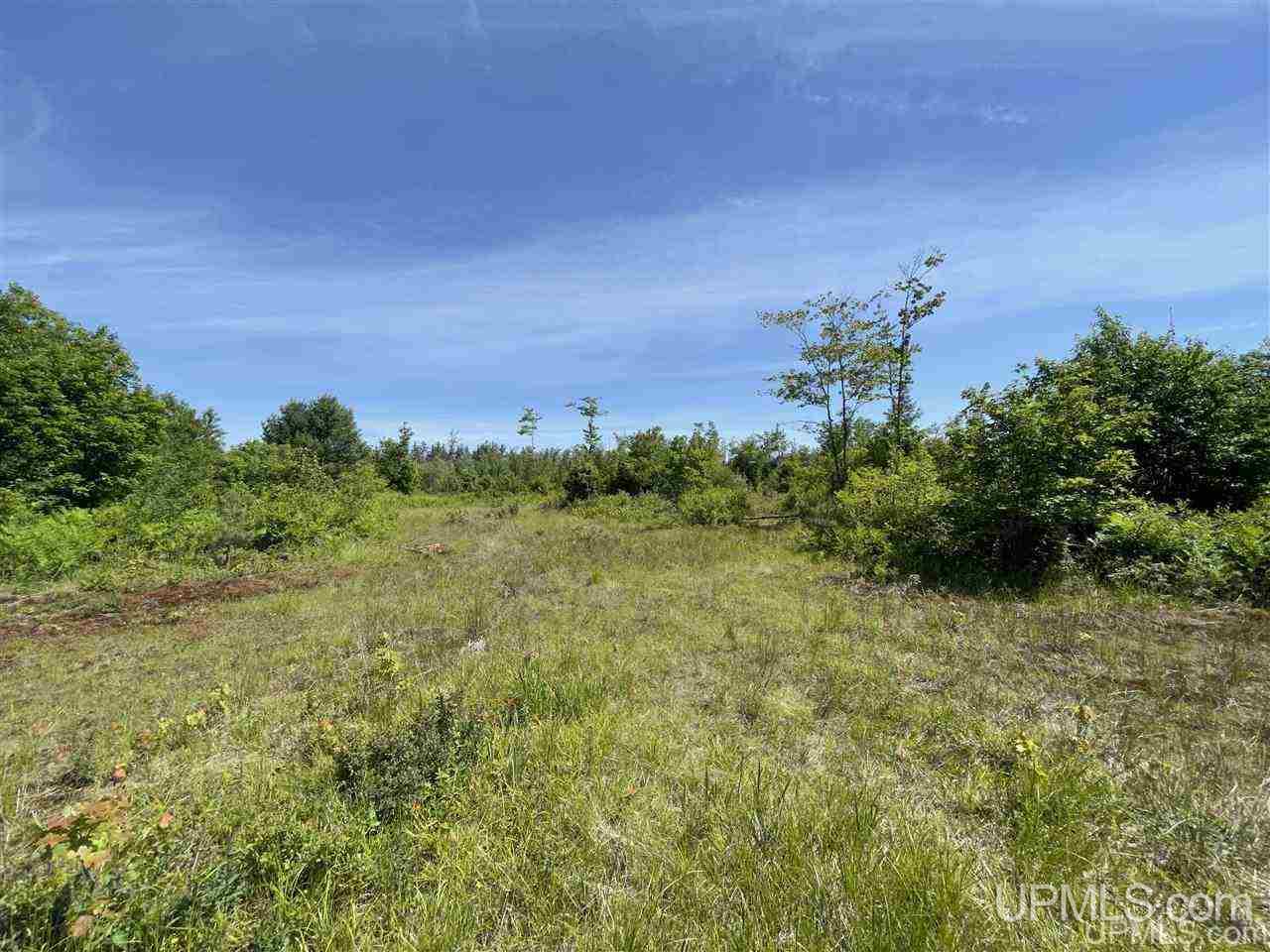 Tbd Off Cooks Lake Road, Unit 1 Wetmore, MI 49895 - Photo 4 of 19