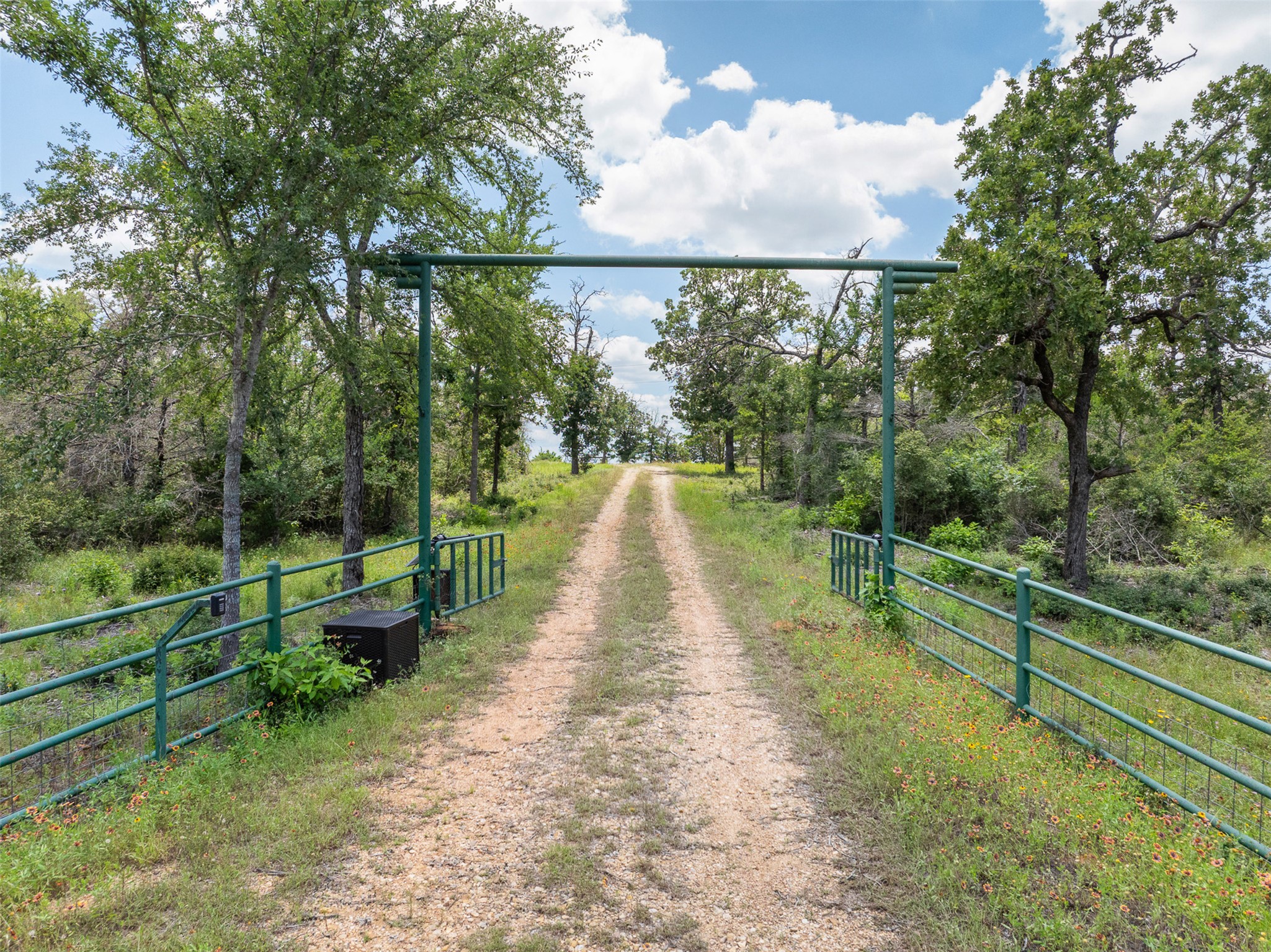 1004 22 Hills Road Gause, TX 77857 - Photo 16 of 37 A private driveway welcomes guests, flanked by green fencing and mature trees under a clear sky.
