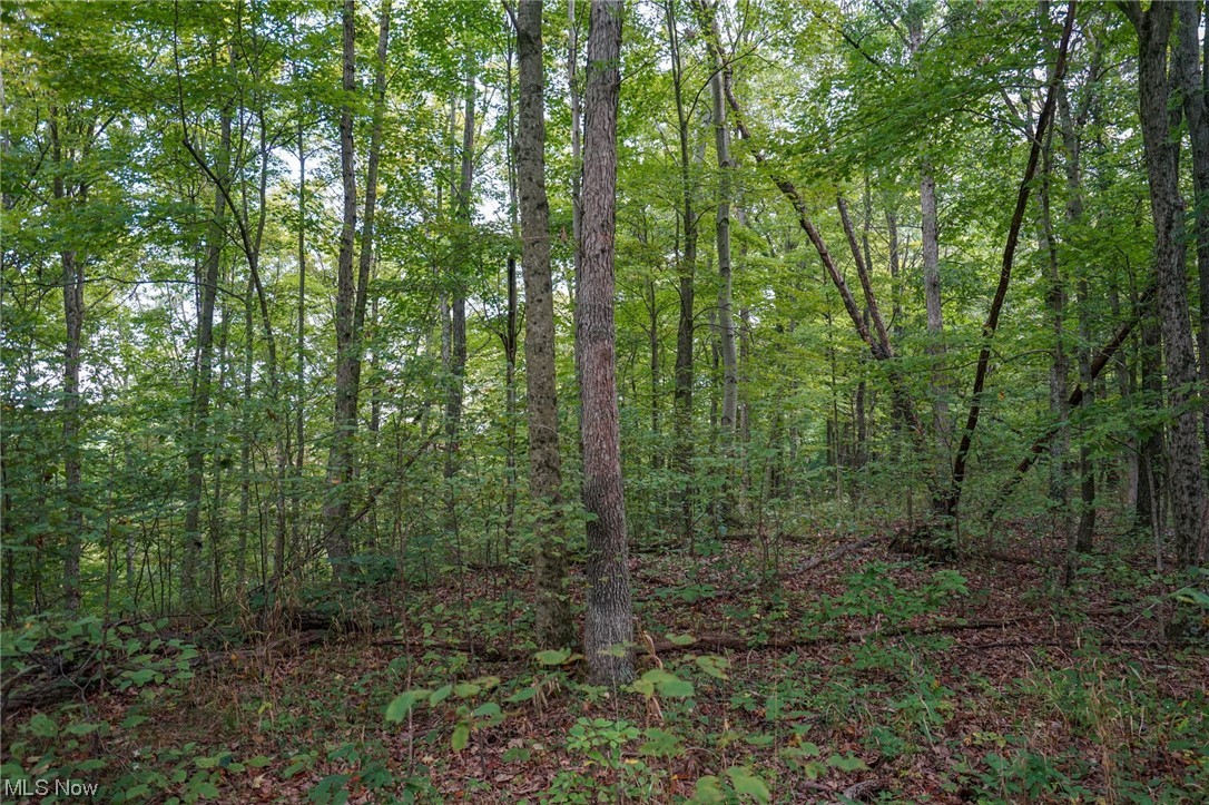 0 Reed Marietta, OH 45750 - Photo 32 of 35 View of nature
