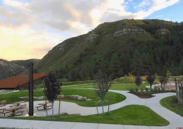 a view of a garden with a large tree