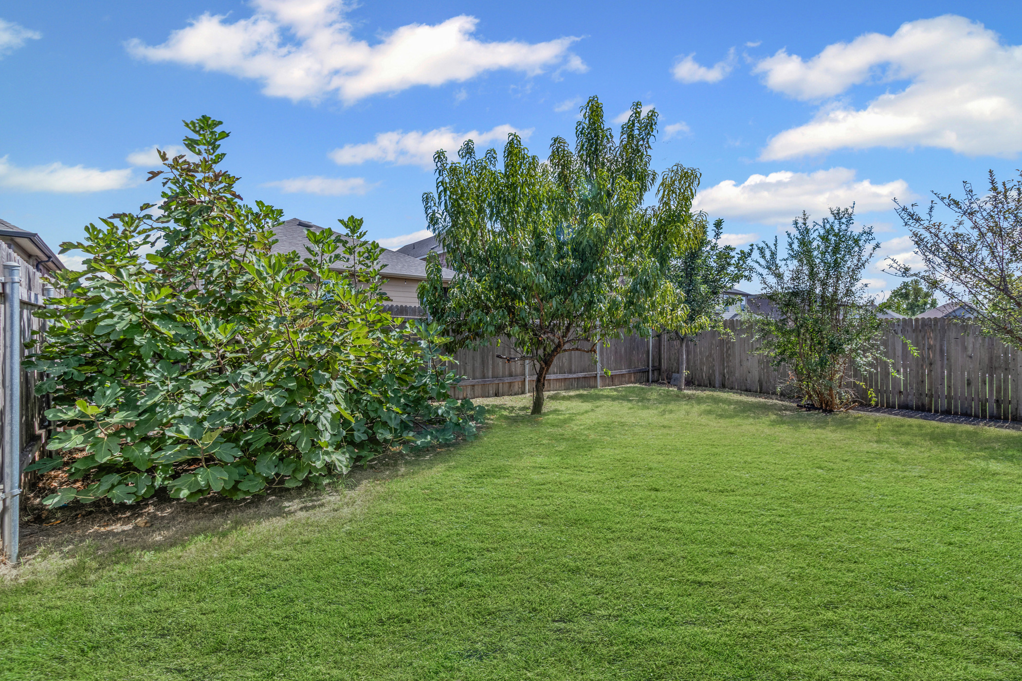 17015 Gibbons Path Round Rock, TX 78664 - Photo 26 of 29 a view of a yard with a house in the background