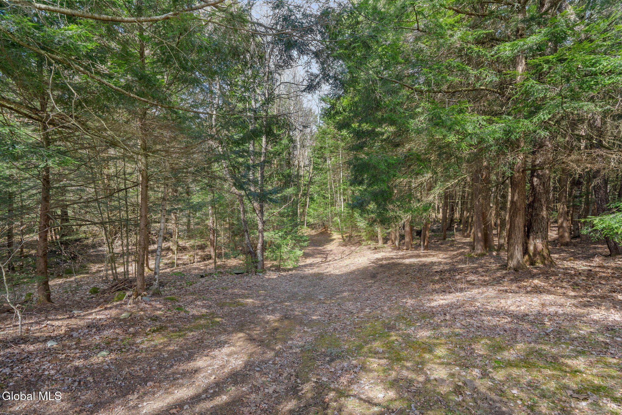 115 Varville Road Petersburgh, NY 12138 - Photo 6 of 43 16-web-or-mls-115-varville-rd