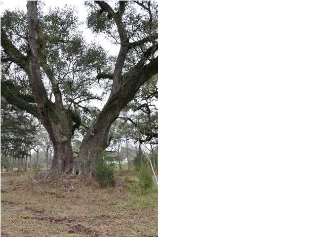 5 Belmont Road New Iberia, LA 70563 - Photo 1 of 1 Primary Photo