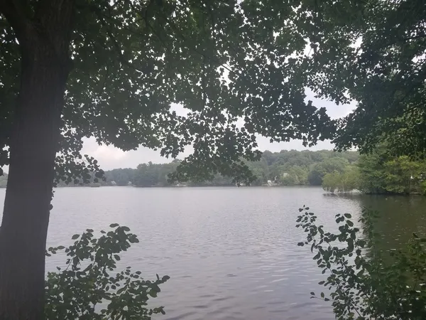 a view of a lake from a lake