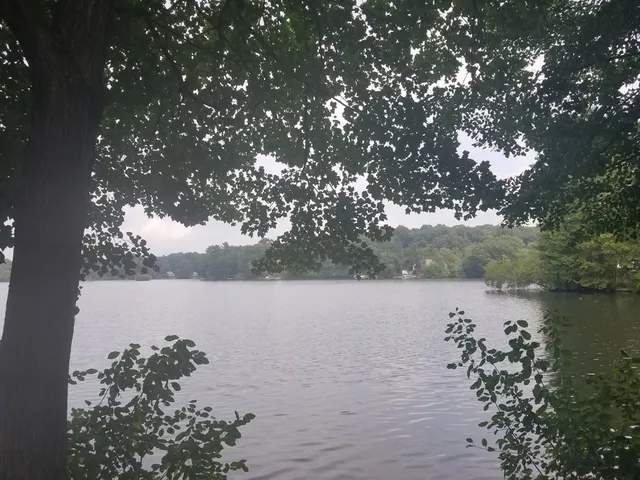 a view of a lake from a lake