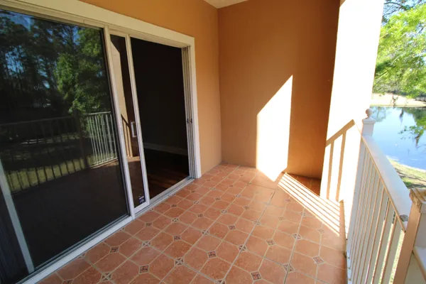 a view of a yard with plants and trees