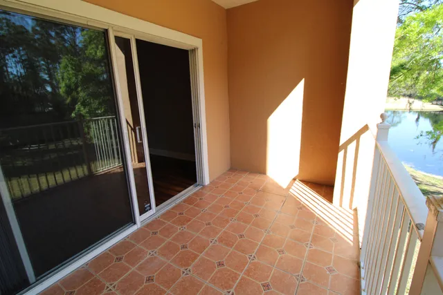 a view of a yard with plants and trees
