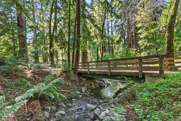 a view of a yard with wooden fence and trees