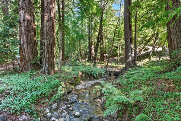 a big yard with lots of green space and house