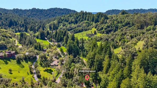 a view of a bunch of flowers and trees