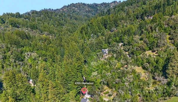 a view of a lush green forest with a lush green forest