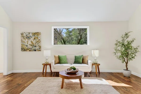a living room with furniture and a potted plant