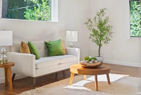 a living room with furniture and a potted plant