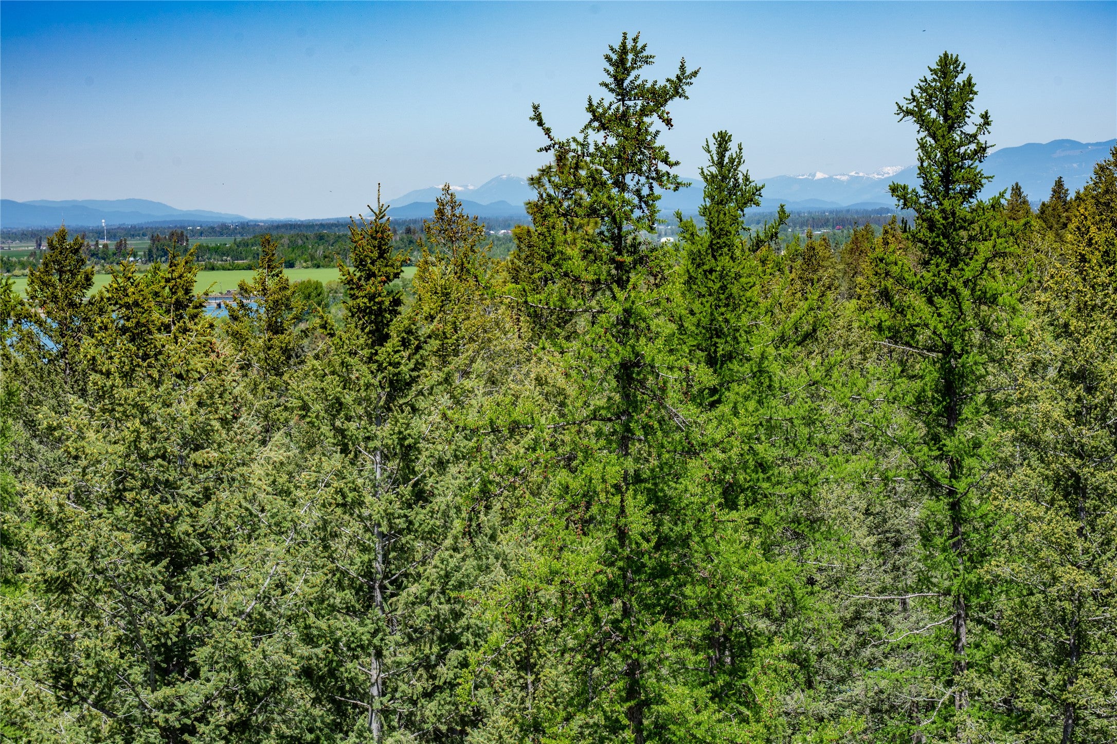 1193 Whispering Rock Road Bigfork, MT 59911 - Photo 36 of 48 Gallery Image 36