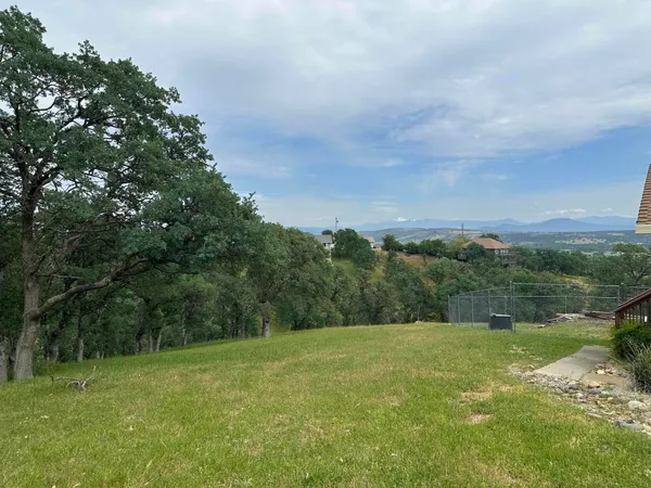 a view of a field with grass and trees