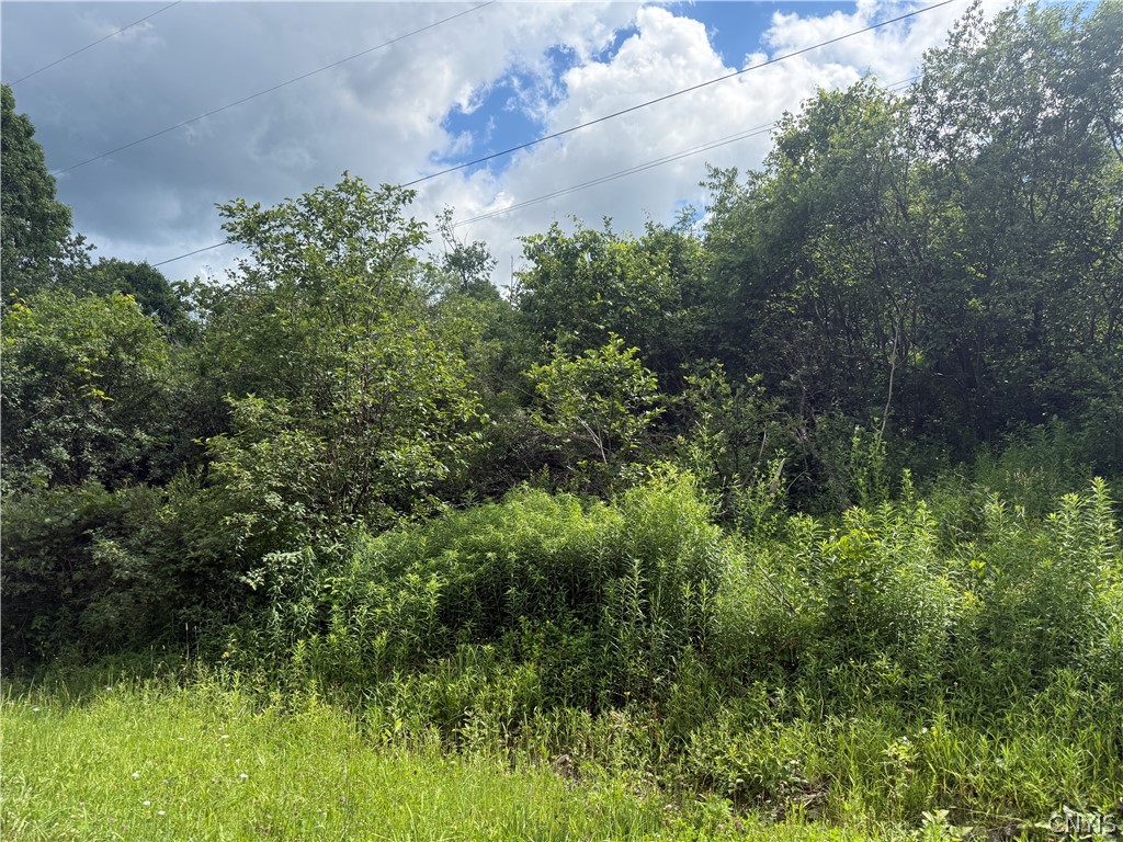 8707 Old State Road Pinckney, NY 13626 - Photo 5 of 5