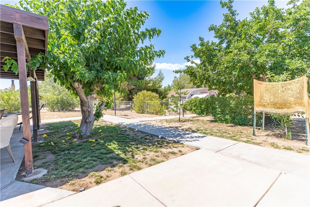 17516 Olive Street Hesperia, CA 92345 - Photo 23 of 32 a view of a yard with plants and trees