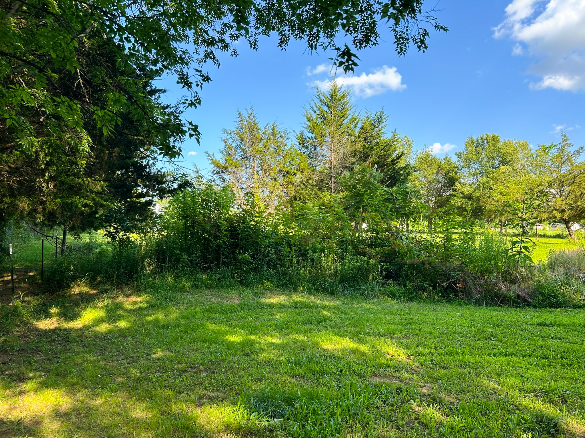 340 Blue Door Road Portland, TN 37148 - Photo 31 of 33