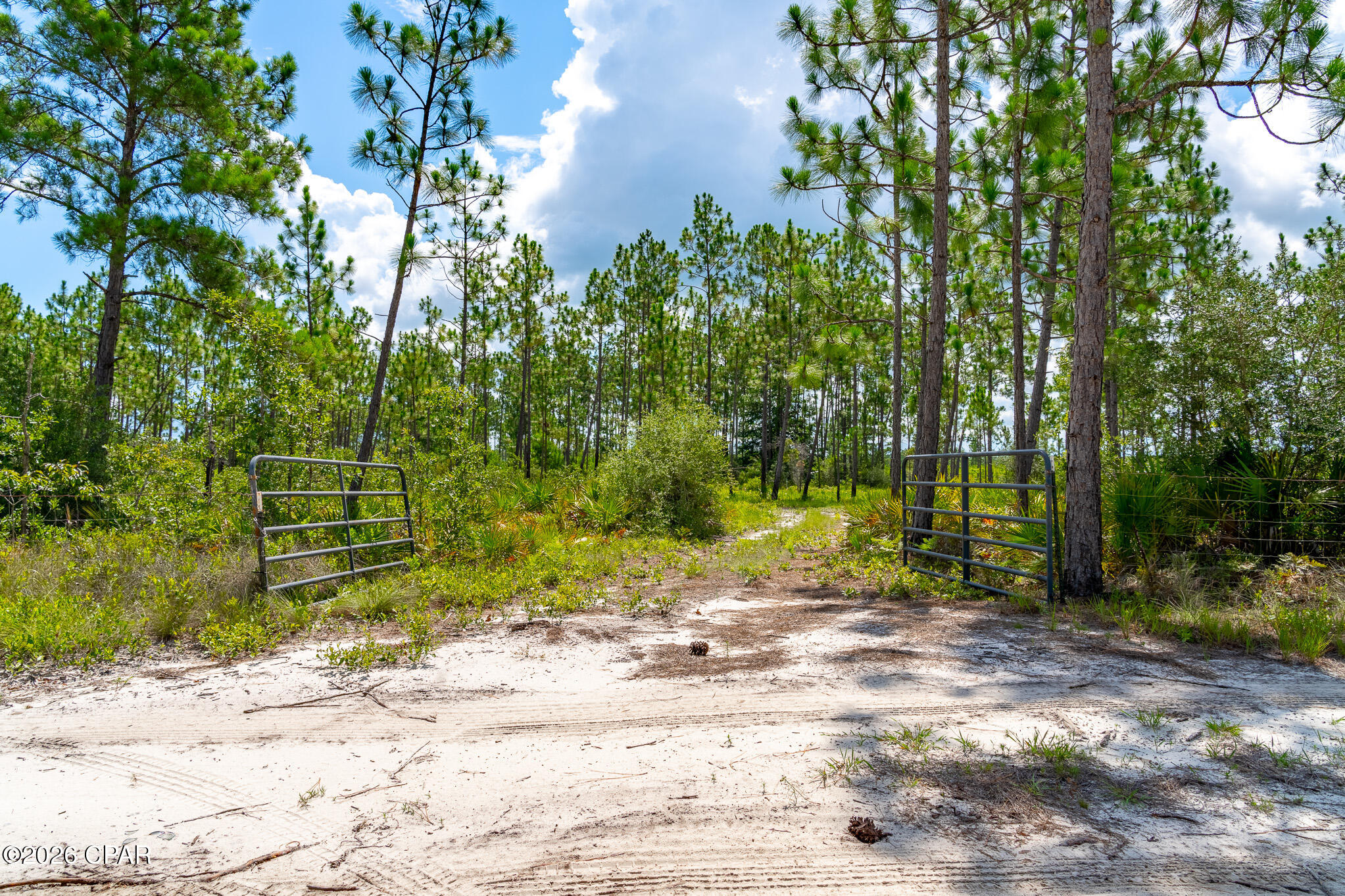 18972 Timbercrest Road Fountain, FL 32438 - Photo 29 of 30