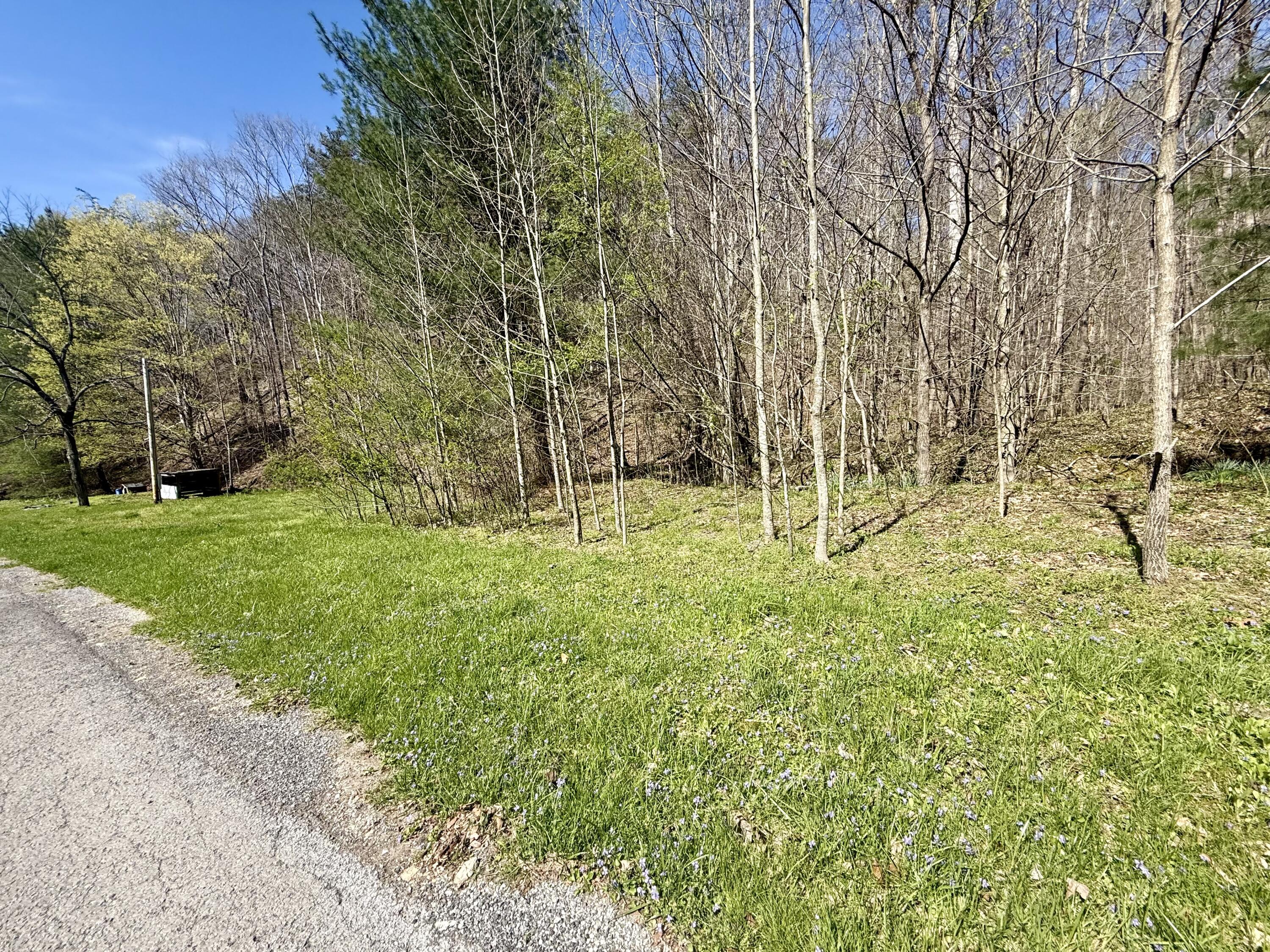 365 Ester Spur Road Waynesburg, KY 40489 - Photo 27 of 32 IMG_6435