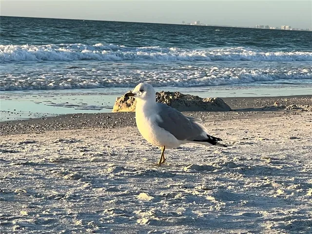 $865,000 | 6250 Holmes Boulevard, Unit 71, Holmes Beach, FL 34217