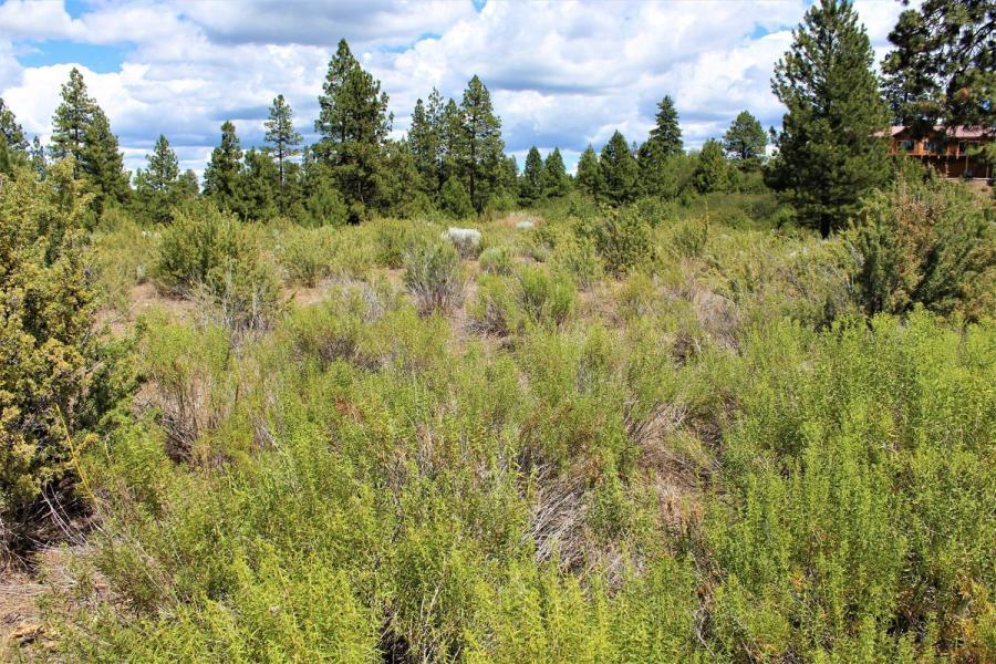 41-07 Ranch Road Chiloquin, OR 97624 - Photo 11 of 13 Landscape