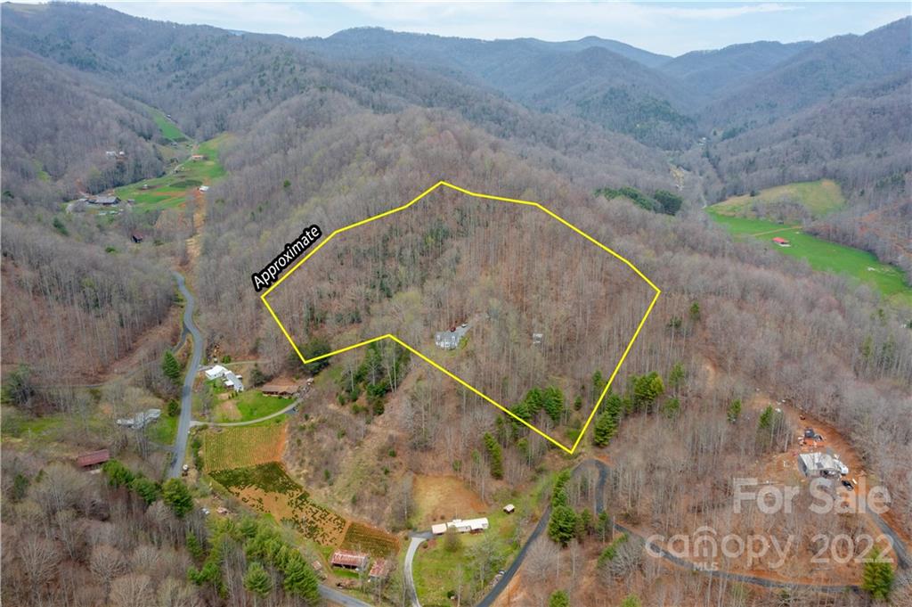 156 Cayton Ridge Bakersville, NC 28705 - Photo 9 of 36 Gallery Image 9