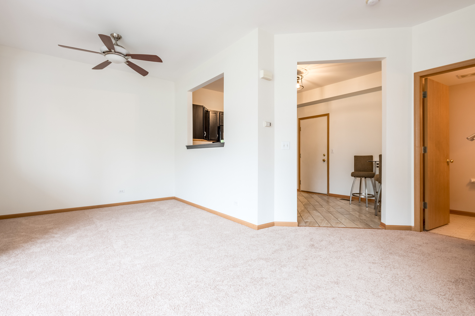 768 County Line Road Aurora, IL 60502 - Photo 4 of 15